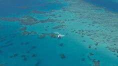 8 best my queensland