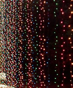 winter wonderwalk at tilles park st louis mo christmas pinterest tillis park christmas lights