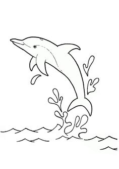 free online dolphin colouring page