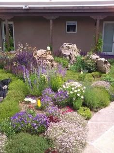 Garden Ideas Colorado colorado zeriscape for front yard | xeriscaping ideas Garden Ideas Colorado colorado zeriscape for front yard | xeriscaping ideas