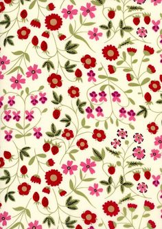 Wallpaper Border Floral B.0427