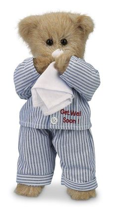 510 Teddy bears ideas | teddy, bearington, boyds bears
