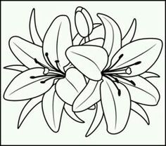 flower page printable coloring sheets | tropical flower - coloring ... - Tropical Coloring Pages Print flower page printable coloring sheets | tropical flower - coloring ... - Tropical Coloring Pages Print