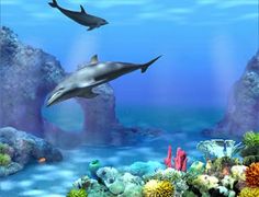 free animated screensavers for windows