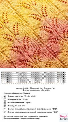 Ana Ammroggio Perfil Pinterest