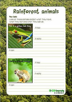 Primary homework help rainforests