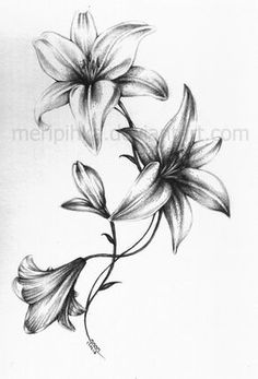 lily tattoo 2 by meripihka deviantart com on deviantart tattoo lily tattoo 2 by meripihka deviantart com on deviantart tattoo