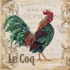 gros modèles de coq