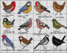 BLOG Bird selection chart