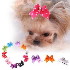 Ogquaton Chien Automne V/êtements Chat Jupe Teddy Automne et Hiver Nouveaux V/êtements Robe De Mari/ée pour Chien Fournitures pour Animaux Rose