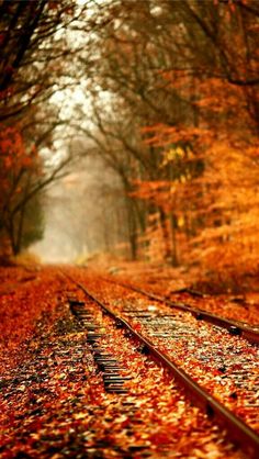 nature pinterest wallpaper iphone