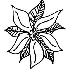 poinsettia coloring page