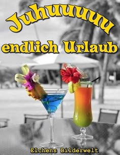 Partnersuche hundeliebhaber