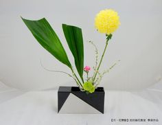 池坊自由花 指定花器 のアイデア 52 件 花 生け花 華道 池坊自由花 指定花器 のアイデア 52 件 花 生け花 華道