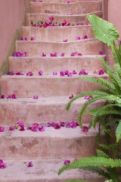 35 Best Pink And Green Images Color Combinations Proof That Pink And Green Is The Best Color Combination Ever