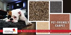 16 Pet Friendly Carpets ideas | pet friendly carpets, carpet, stair runner carpet