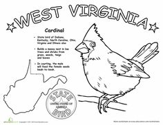 west virginia state bird embroidery monogramembroidery patternsscience worksheetswest