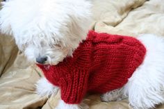 10 Knits For Yorkies Ideas Dog Sweater Pattern Dog Sweaters Dog Sweater