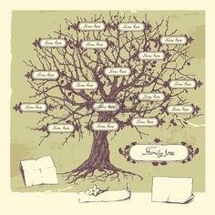 17 best family tree images family trees genealogy chart tree clipart family tree vectors
