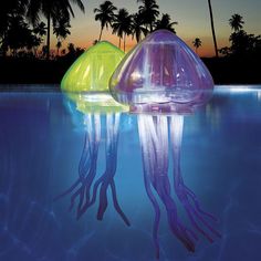 46 best ideas for hawaiian landscaping images backyard ocean art light up mini jellies