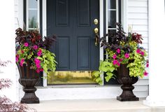 Professionally Designed Look Pairing Door Color With Coordinating Plant Idea For Urns