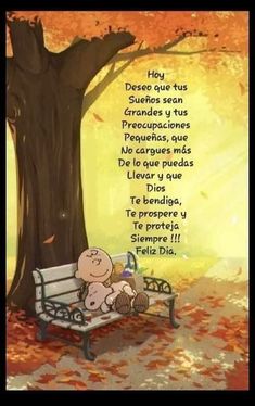 43 Ideas De Buenos Dias En 2021 Remedios Para Juanetes Buenos Dias Saludos De Buenos Dias