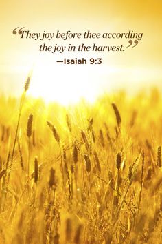 Bible Inspirational Quotes About Life Endearing 26 Inspirational Bible Quotes That Will Change Your Perspective On Bible Inspirational Quotes About Life Gorgeous 26 Inspirational Bible Quotes That Will Change Your Perspective On
