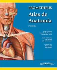 26 Ideas De Anatomía Neuroanatomía Elibros Anatomía Neuroanatomia Libros