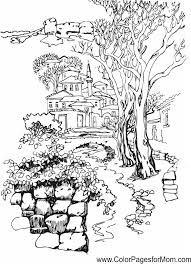 Water coloring book for adults