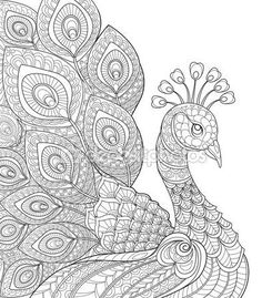 Adult Antistress Coloring Page Black And White Hand Drawn Doodle For Book Davlin Publishing
