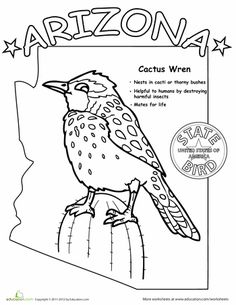 arizona state bird