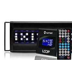 8 best reef systems