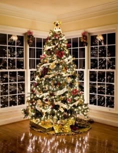 380 best christmas windows images on pinterest christmas windows christmas tree in window