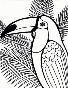 Toucan Coloring Page For Kids And Adults From Birds Pages