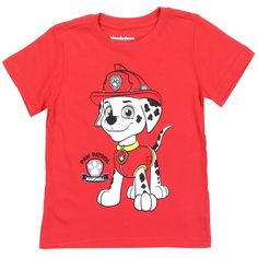 Paw Patrol Boys//Girls Rocky Short-Sleeved Face T-shirt//Top Sizes 2 to 7 years