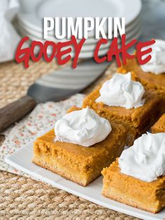 482 best pumpkin everything