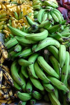 97 Best Puerto Rican Vegan Images Puerto Rican Recipes 97 Best Puerto Rican Vegan Images Puerto Rican Recipes