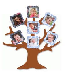 16 best family tree