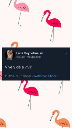 Conocer mujeres villadiego Conocer mujeres villadiego