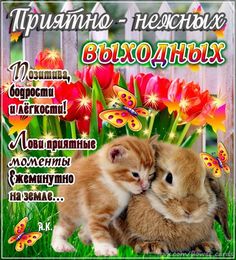 Лис