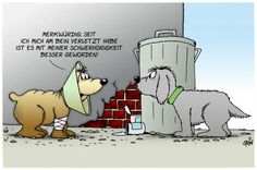 Cartoons uli stein - Der absolute Vergleichssieger