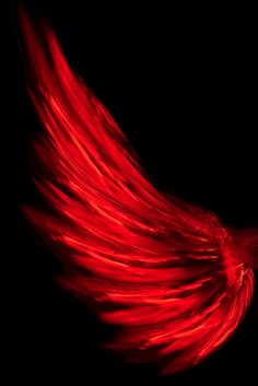 Ange, Rouge, Black Wallpaper, Dark Wallpaper, Wallpaper, Black And Red, Dark Aesthetic