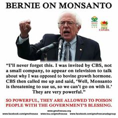 3330 best bernie sanders for president 2016 images on pinterest