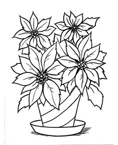 pointsetta coloring page