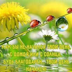(66) Одноклассники