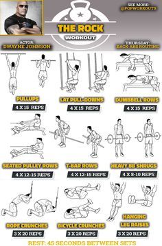 Back workout for beginners deals