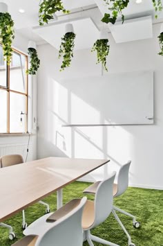 47 Best Office Plants And Green Walls Images Hanging Office Plants At Tara Pac Offices Lund Fit Out Small