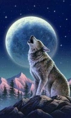 A1 A2 Wolf Canvas Print Wall Art Premium Howling Wolf in Moonlight Blue A4 A3