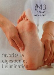 Hipertensión reflexologie plantaire metodo