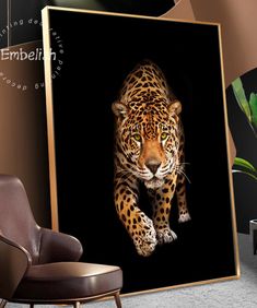 Wild Leopard Sitting in the Shadows Picture Poster Animal Art Framed Print